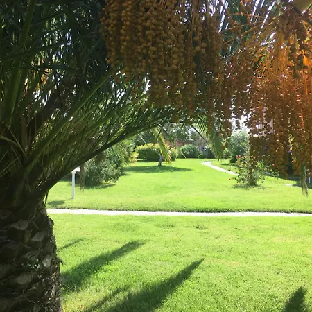 Hotel Cala Rosa Club