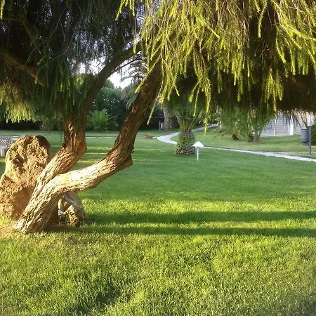 Cala Rosa Club 4* סטינטינו