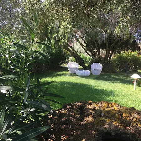 Hotell Cala Rosa Club 4*