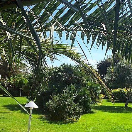 Hotel Cala Rosa Club 4*
