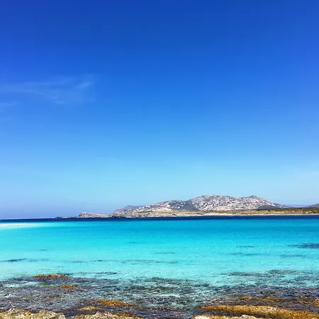 Hotel Cala Rosa Club 4*